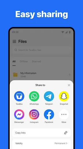 TeraBox MOD APK 3.18.0 (Premium Unlocked) 4